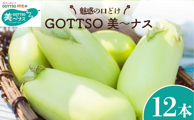 白ナス 美～ナス 1箱 12本 2026年 7月から10月末まで発送 なす 季節 夏 野菜 新鮮 旬 煮物 炒め物 漬物 鍋 味噌汁 GOTTSO 阿波 徳島