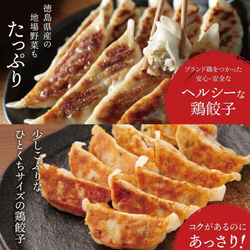 餃子 阿波尾鶏 16個 ぎょうざ ギョーザ 鶏肉 焼き餃子 野菜 餡 キャベツ 白菜 弁当 中華 冷凍 冷凍餃子 お酒 ビール 居酒屋 徳島県 阿波の頂
