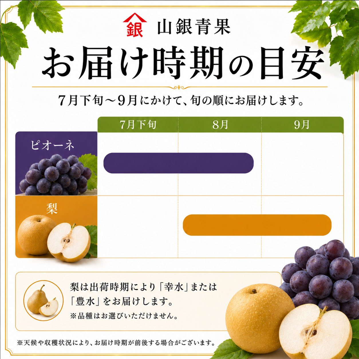 フルーツ 定期便 2回 フルーツ定期便 コースA 果物 ピオーネ 梨 季節 旬 詰め合せ 国産 おまかせ 産地直送 徳島県 徳島 山銀青果