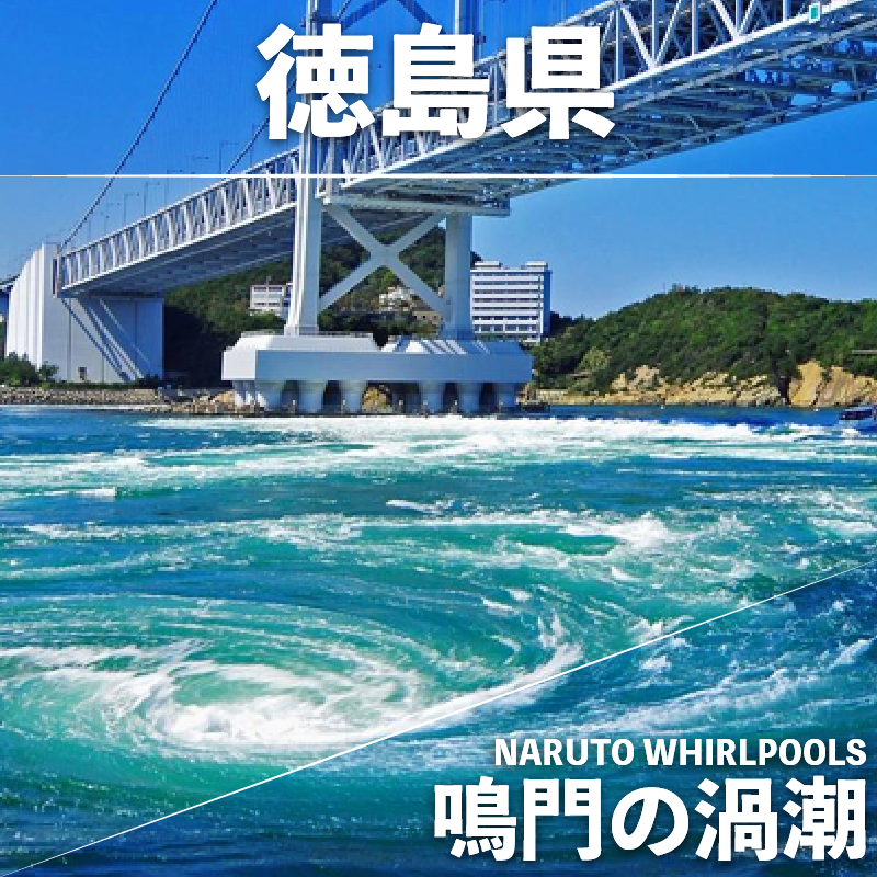 すき焼き 800g 冷凍 国産 徳島県 リブロース トモサンカク 黒毛和牛 阿波牛 和牛 牛肉 霜降り お肉 料理 食材 高級 贈答 プレゼント ギフト お歳暮