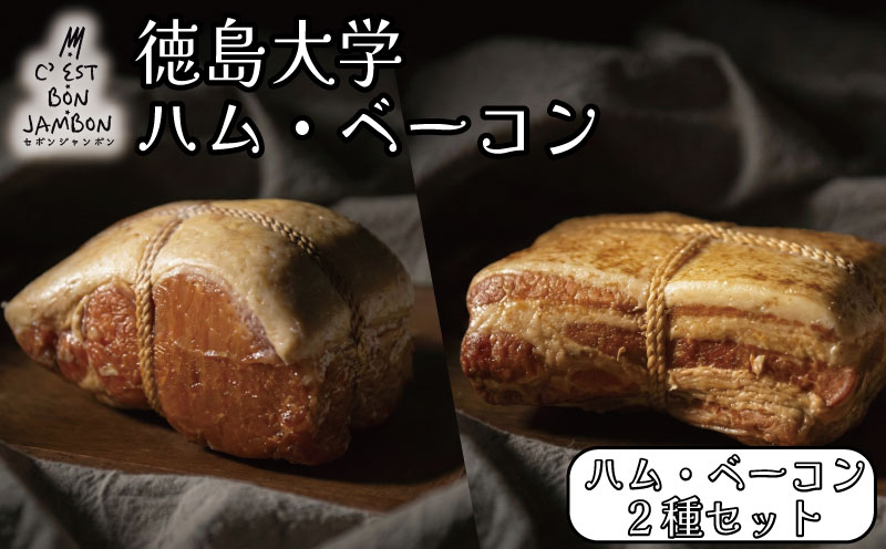 徳島大学 ハム ベーコン 計900g 熟成 ロースハム ベーコン 豚肉 豚 ぶた ブタ 加工品 お中元 お歳暮 年末 徳島大学 徳島県