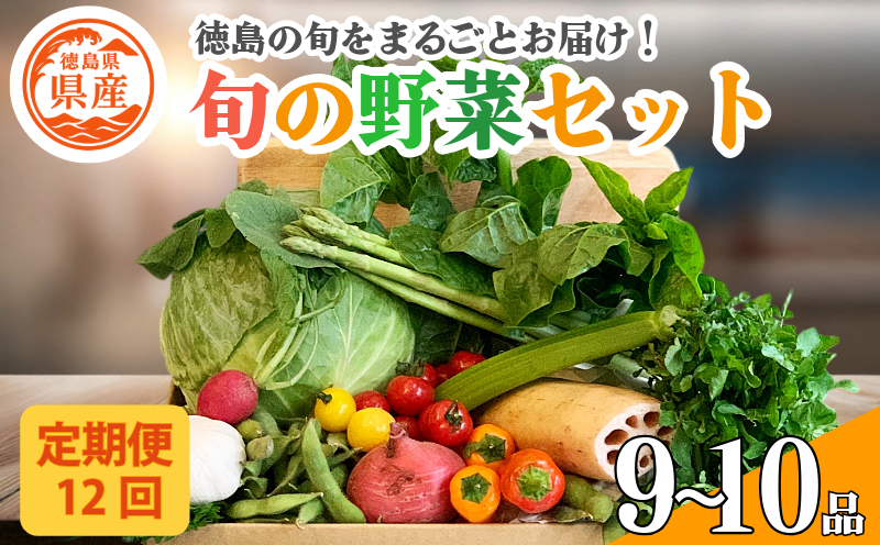 野菜 セット 9～10品 定期便 12回 季節 旬 野菜 詰め合せ 国産 季節 旬 おまかせ 産地直送 春野菜 夏野菜 秋野菜 葉物 果物 果菜 根菜 冷蔵 野菜室 ダイエット 食 栄養食 加工品 カット野菜