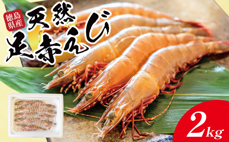 えび 足赤海老 2kg 海老 天然 えび あしあかえび 冷凍 鮮度そのまま 海老 刺身 甘い エビフライ 塩焼き 殻付き プリプリ ebi エビ 天然えび 徳島