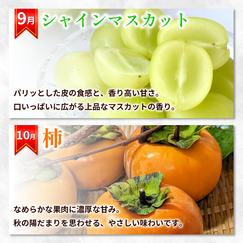 フルーツ 定期便 12ヶ月 果物 季節 旬 詰め合せ 国産 おまかせ 産地直送 シャインマスカット いちご みかん デコポン 桃 メロン 八朔 梨 柿 あたご柿 徳島
