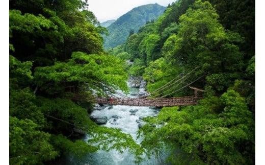 共通宿泊補助券【15,000円分】