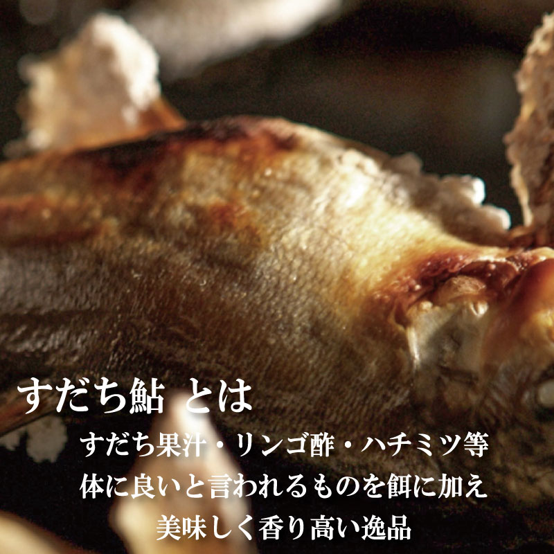 すだち 鮎 1kg 5月中旬から8月末まで発送 あゆ 冷蔵 すだち果汁 塩焼き 甘露煮 米 お米 ご飯 と一緒に うなぎ 鮭 かつお に負けない 魚 川魚 柑橘 BBQ 酒 つまみ 養殖 徳島