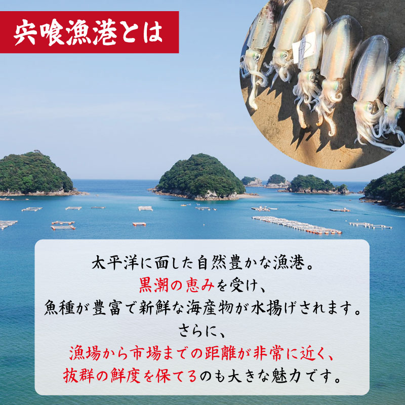 アオリイカ 1kg 2～4枚 《水揚げから数分で真空冷凍！》 イカ あおりいか 下処理済み 刺し身 刺身 海鮮 おつまみ 海鮮丼 寿司 いかめし いか 焼き 徳島 海陽町 宍喰