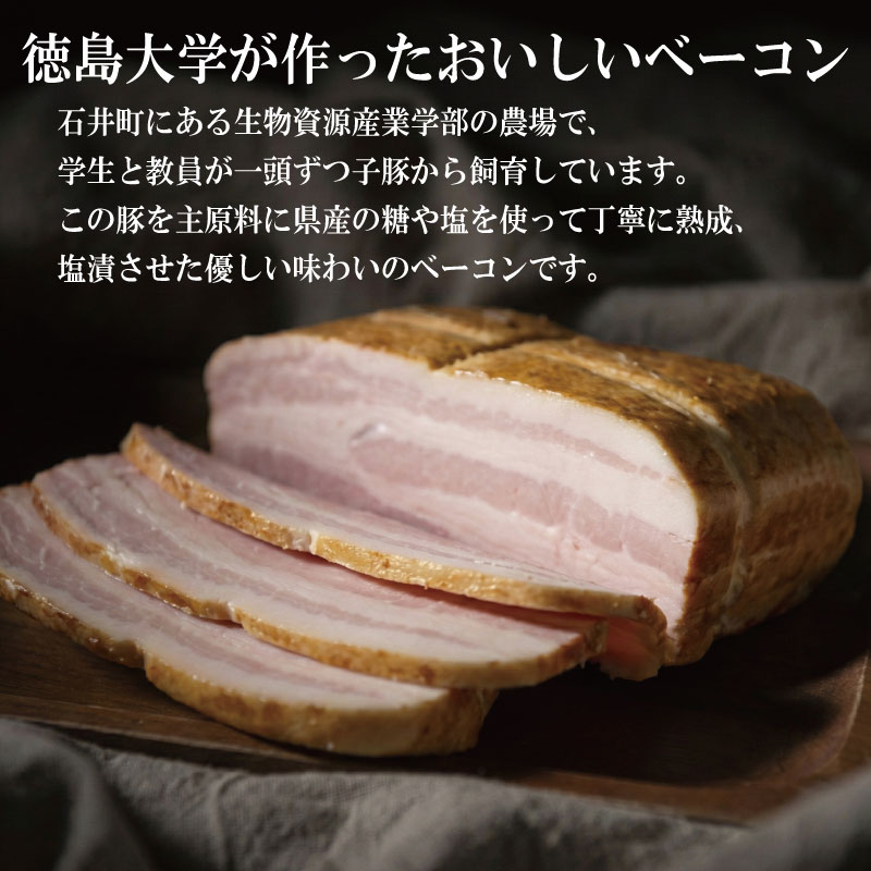 徳島大学 ハム ベーコン 計900g 熟成 ロースハム ベーコン 豚肉 豚 ぶた ブタ 加工品 お中元 お歳暮 年末 徳島大学 徳島県
