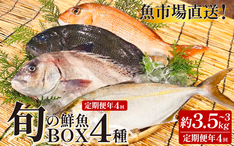 é®®éããã¯ã¹ 4çš® å®æäŸ¿ 4å é®®éã»ãã é®®éBOX è©°ãåãã åºã身 åºèº« ãã©ã€ 倩ã·ã å¡©çŒã ç
®ä»ã æ¬ é®®é ãåãå¯ã ã°ã«ã¡ é£å é éè² ã®ãã èŽç© èŽãç© ãã¬ãŒã³ã ããã éæç¡æ 埳島 éåžå Ž