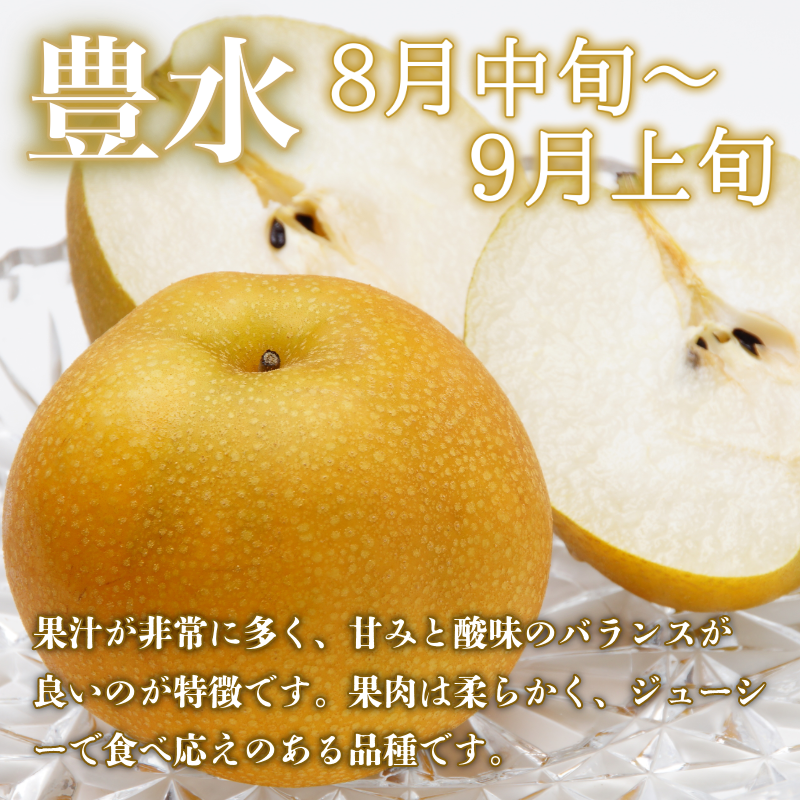 ã8æäžæ¬ãã9æäžæ¬ãŸã§çºéã æ¢š 2kgä»¥äž è±æ°Ž 幞氎 容é éžã¹ã ãã«ãŒã æç© ãªã é£ã¹æ¯ã¹ æ¬ åœç£ å³éž 埳島ç