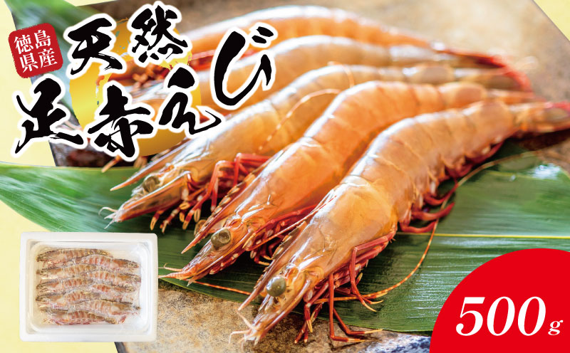 えび 足赤海老 500g 海老 天然 えび あしあかえび 冷凍 鮮度そのまま 海老 刺身 甘い エビフライ 塩焼き 殻付き プリプリ ebi エビ 天然えび 徳島