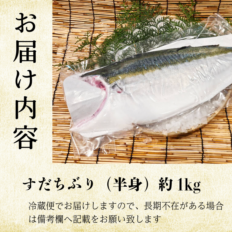 ぶり フィレ すだちぶり 半身 選べる 1枚 1kg 冷蔵 徳島 養殖 ブランド鰤 鰤 ブリ お正月 buri 豪華 海鮮 魚 ふるさと納税