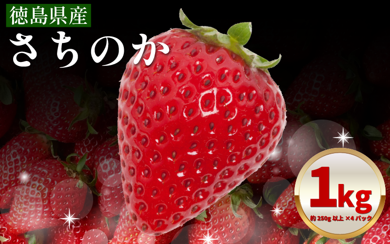 いちご 1㎏ さちのか 苺 イチゴ ストロベリー 数量限定 徳島県産 ichigo strawberry itigo 1月下旬より順次出荷 徳島県 