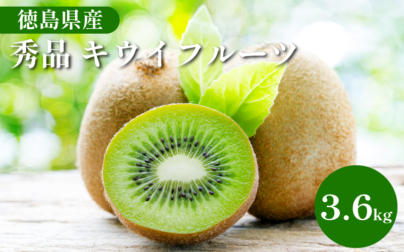 秀品 キウイフルーツ 24~30玉 3.6kg きうい キウイ フルーツ 果物 くだもの お取り寄せ 人気 おすすめ 徳島県 送料無料 徳島青果