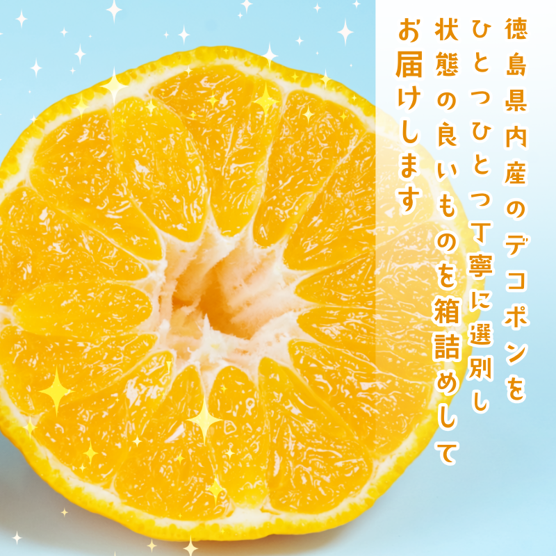 ãã³ãã³ èš³ãã 3ã ææ© ãã«ãŒã æ¬ ã§ããœã æ¿å çã å³éž åœç£ 埳島ç ã2æäžæ¬ããé æ¬¡çºéã