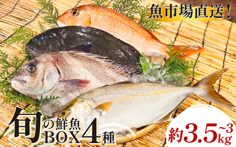 鮮魚ボックス 4種 鮮魚セット 鮮魚BOX 詰め合わせ 刺し身 刺身 フライ 天ぷら 塩焼き 煮付け 旬 鮮魚 お取り寄せ グルメ 食品 魚 魚貝 ギフト 贈物 贈り物 プレゼント おかず 送料無料 徳島 魚市場