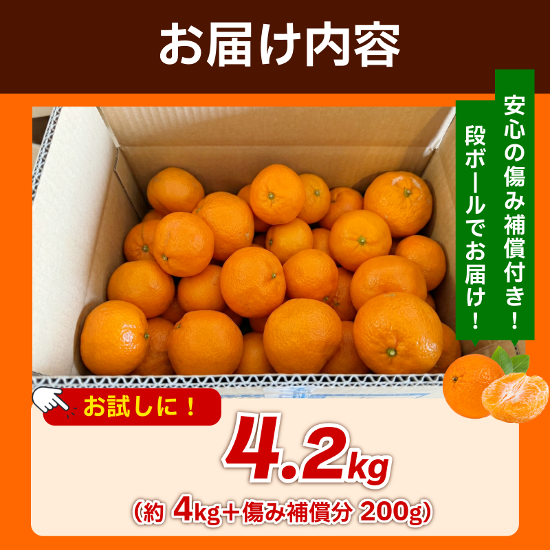みかん 訳あり 4.2kg 4kg+傷み補償分200g 熟成 柑橘 フルーツ 果物 みかん ミカン みかん 蜜柑 訳ありみかん 家庭用 オレンジ 1万円未満 徳島県 勝浦町 佐那河内村 5000円以下 5000円