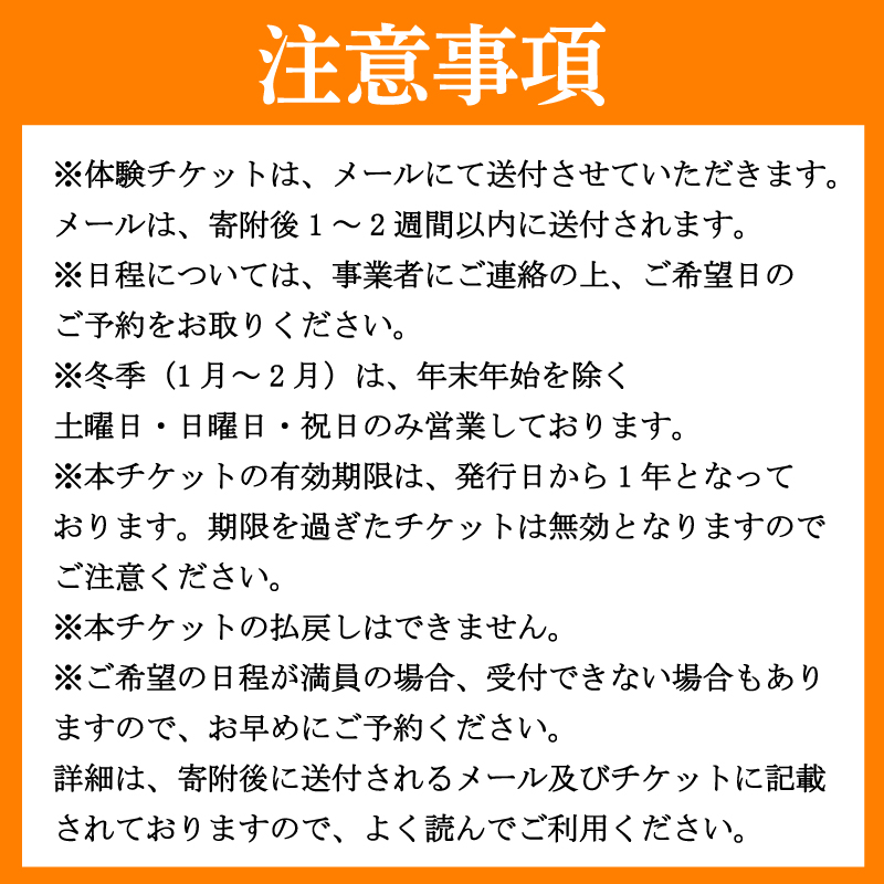 フォレストアドベンチャー 祖谷 体験チケット 2名様 施設利用券 徳島県 観光 クーポン ジップライン アクティビティ 遊び 体験 観光 トラベル チケット 自然 アスレチック 家族 ファミリー 三好 みよし ドリームチーム