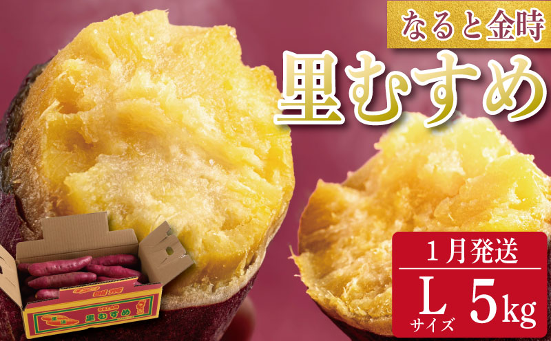 さつまいも 鳴門金時 5kg 2026年1月発送 なると金時 Lサイズ 里むすめ 芋 野菜 スイーツ スイート チップス 棒 箱 詰め 紅 甘い お菓子 金時 大学 種類 生 調理 干し芋 焼き芋 ホクホク ケーキ 産地直送 黄 ふるさと ギフト 年 日 徳島 鳴門