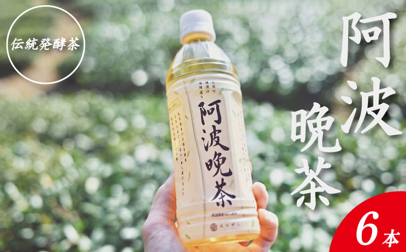 阿波晩茶 ペットボトル 6本 （1本500ml入り） お茶 晩茶 番茶 茶葉 本格 阿波晩茶 100％ 健康茶 発酵 伝統 お土産 阿波 徳島 阿南市 はなぜん