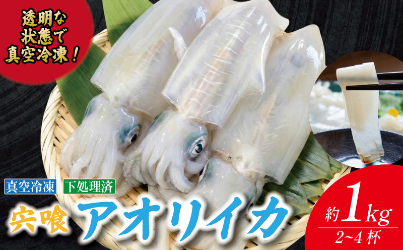 アオリイカ 1kg 2～4枚 《水揚げから数分で真空冷凍！》 イカ あおりいか 下処理済み 刺し身 刺身 海鮮 おつまみ 海鮮丼 寿司 いかめし いか 焼き 徳島 海陽町 宍喰