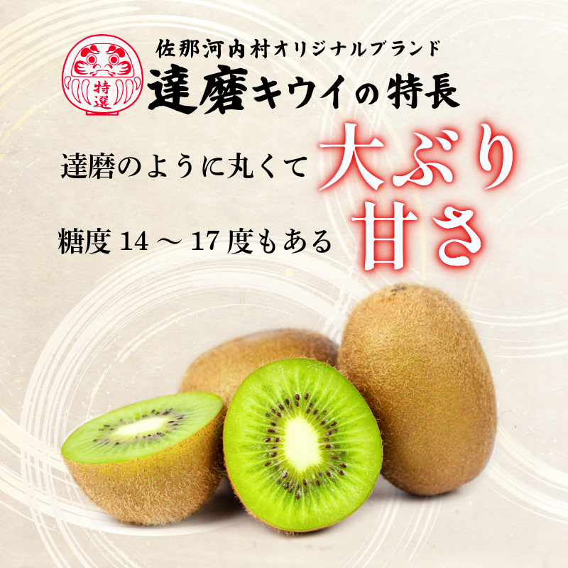 達磨キウイ 8玉 1.4kg きうい キウイ フルーツ 果物 くだもの お取り寄せ 人気 おすすめ 徳島県 送料無料 徳島青果