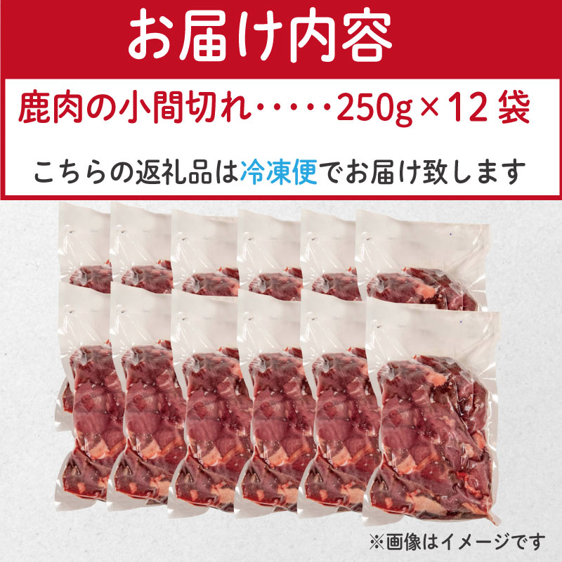 ペットフード 鹿肉 小間切れ 3キロ (250g×12パック) 徳島 那賀 国産 ジビエ 阿波地美栄 いぬ 犬 ペット用 犬用 カット済 ごはん えさ 餌 ドッグフード ペットフード おやつ 犬の餌 犬用おやつ 小間切れ 小分け 冷凍 ドリームチーム