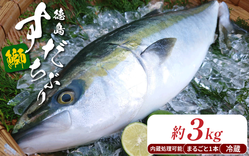 ぶり ラウンド すだちぶり 丸ごと1本 約3kg 冷蔵 徳島 養殖 ブランド鰤 鰤 ブリ お正月 buri 豪華 海鮮 魚 ふるさと納税