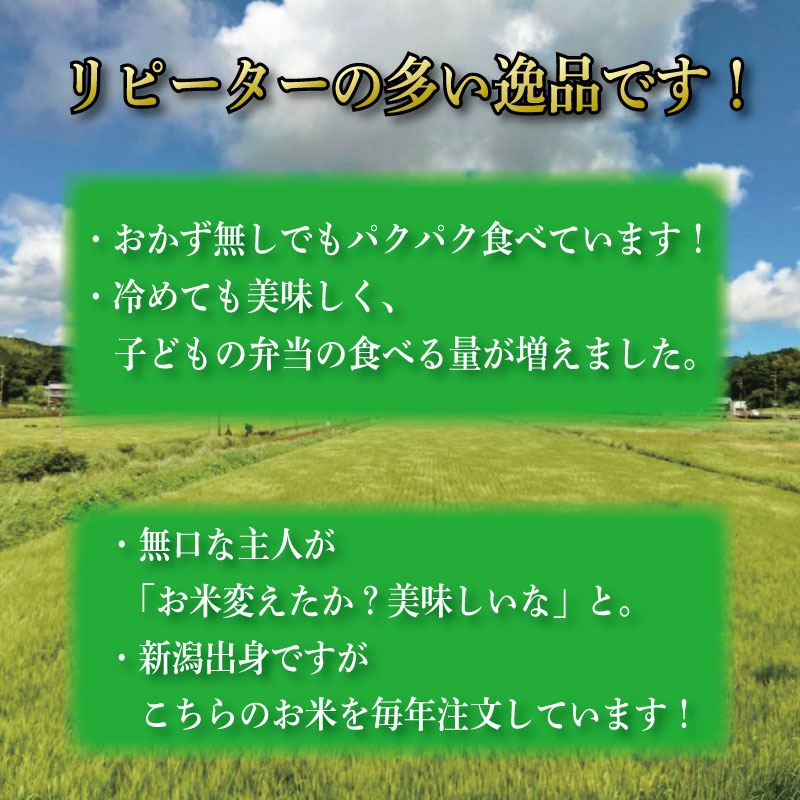 米 5kg お米 ご飯 コシヒカリ ヒノヒカリ に負けない こめ ご飯 ごはん おにぎり 白米 精米 精白米 卵かけご飯 うなぎ うな重 食品 備蓄 備蓄米 保存 防災 ギフト 贈答 プレゼント お取り寄せ グルメ 送料無料 徳島 阿南 新野源流米 あきさかり