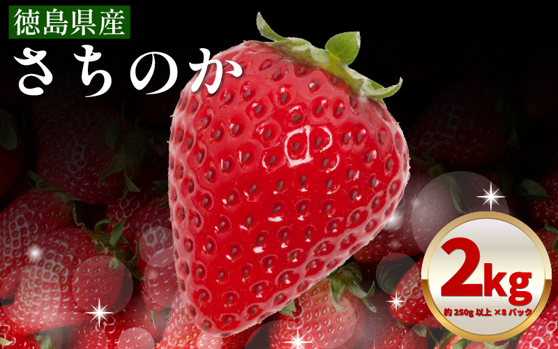 いちご 2kg さちのか 苺 イチゴ ストロベリー 数量限定 徳島県産 ichigo strawberry itigo 1月下旬より順次出荷 徳島県 