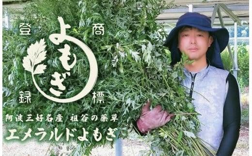 阿波みよし名産「祖谷の薬草　エメラルドよもぎ」のお風呂 【25g×5パック×3セット】