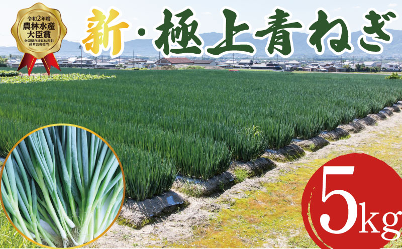 【12月~3月・7月のみ発送】青ねぎ 5kg ネギ 葱 極上 薬味 国産 野菜 うどん ギョーザ 餃子 チャーハン 焼きネギ 徳島 阿波市 新･極上青ねぎ 通常発送 旬 ネギ