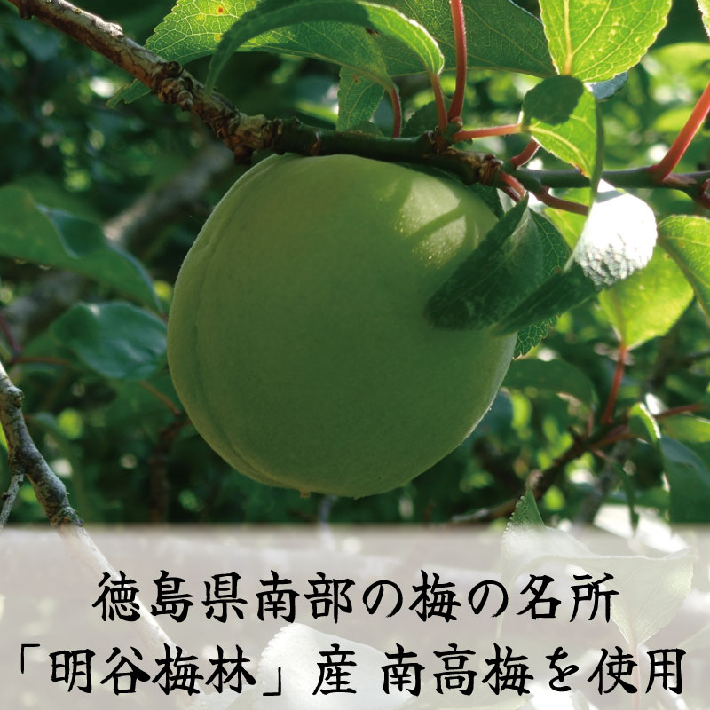 味噌 80g 梅 うめ 味噌 みそ 白みそ 赤みそ 合わせ味噌 梅 南高梅 ご飯 米 こめ おとも お酒 酒 つまみ 魚 鮭 肉 牛肉 豚肉 野菜 に合う 味噌汁 みそ汁 鍋 うどん 煮込みうどん 味噌漬け 漬け ふるさと 徳島 阿南 うめ味噌 