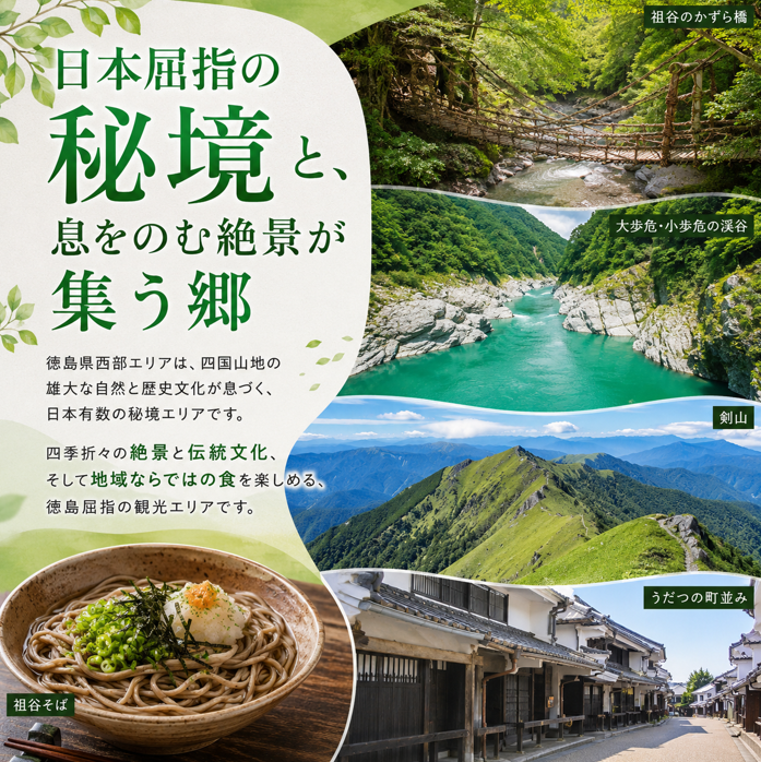 徳島県 宿泊券 7,500円分 《ここしかない！徳島県内”全域”が対象！》 阿波踊り 阿波おどり 徳島 旅行 旅行券 トラベル クーポン ホテル 宿泊 チケット 温泉 観光 すだち 鳴門金時 徳島ラーメン 半田そうめん 大塚美術館