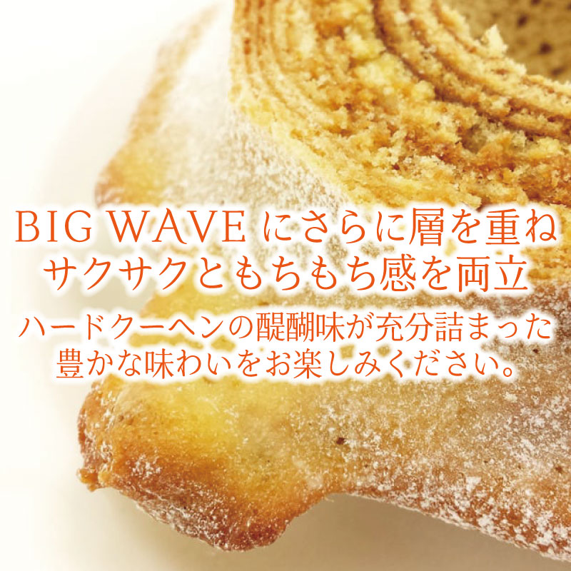 バウムクーヘン 1個 波乗りバウム BIGWAVE サンライズ バームクーヘン ばうむくーへん バウムクーヘン ばーむくーへん スイーツ 洋菓子 お菓子 ギフト 贈答用 プレゼント 箱詰め 箱入り 発酵 バター コーヒー 紅茶 徳島県 ドリームチーム