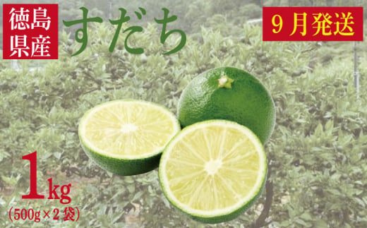 【2024年9月発送】徳島県産「すだち」１kg（500g×2袋）