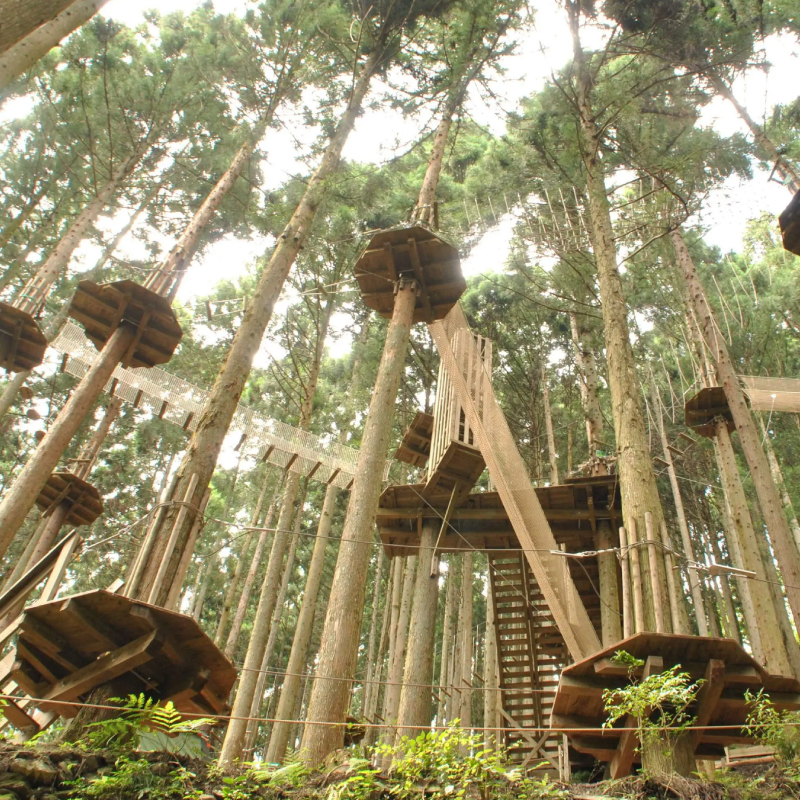 フォレストアドベンチャー 祖谷 体験チケット 2名様 施設利用券 徳島県 観光 クーポン ジップライン アクティビティ 遊び 体験 観光 トラベル チケット 自然 アスレチック 家族 ファミリー 三好 みよし ドリームチーム