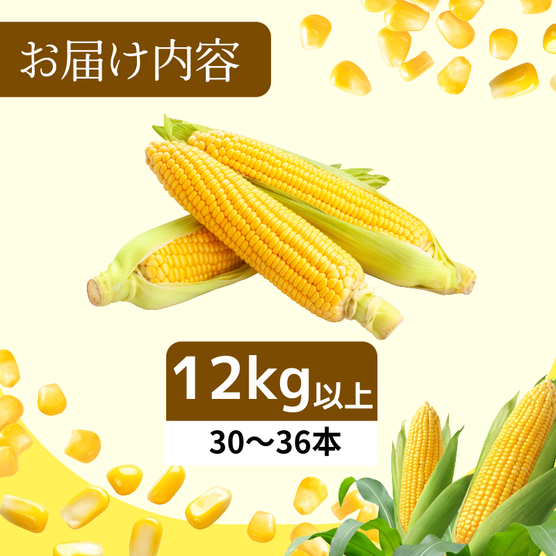 ã6æäžæ¬ããé æ¬¡çºéãããšããããã ãŽãŒã«ãã©ãã·ã¥ 12kgä»¥äž éžã¹ã 容é å³éž æ°é®® çã ç åœç£ éè ã¹ã€ãŒãã³ãŒã³ ããŒããã¥ãŒ BBQ ã³ãŒã³ æ¬ åŸ³å³¶ç