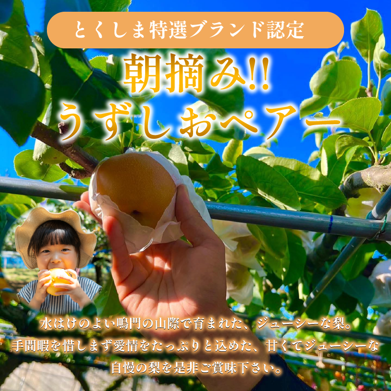 ã2026幎å
è¡äºçŽã梚 ãªã ãå®¶åºçš 2.5kgä»¥äž 5ã8ç 2026幎 8æé 次çºé ãããããã¢ãŒ æç© ãã«ãŒã ãã¶ãŒã æ¬ æ°é®® å£ç¯ ç§ äººæ° ãããã ã®ãã ãã¬ãŒã³ã èŽç èŽãç© å®¶åºçš æééå® éæç¡æ 鳎é 埳島