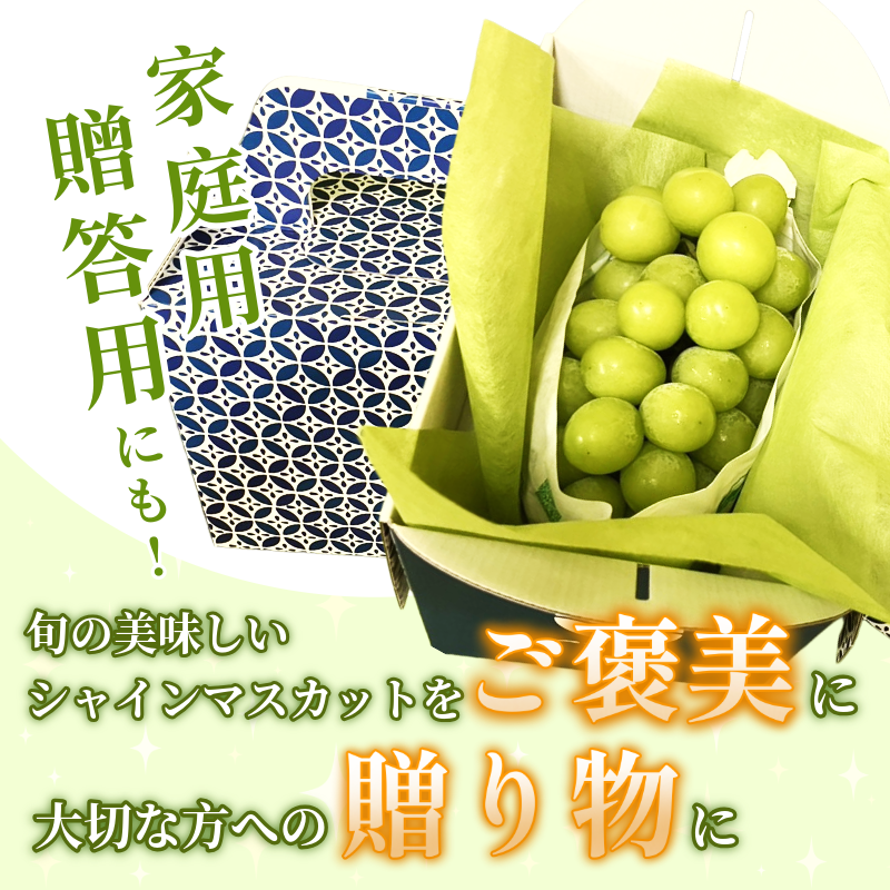 ã·ã£ã€ã³ ãã¹ã«ãã ãã«ãŒã æç© 2æ¿ å·èµ 1kg çš®ãªã å€§ç² é«çŽ çã ã·ã£ã€ã³ãã¹ã«ãã ã¶ã©ã ç£å°çŽé åœç£ 埳島ç ã6æäžæ¬ïœ8æäžæ¬ãŸã§é 次çºéã