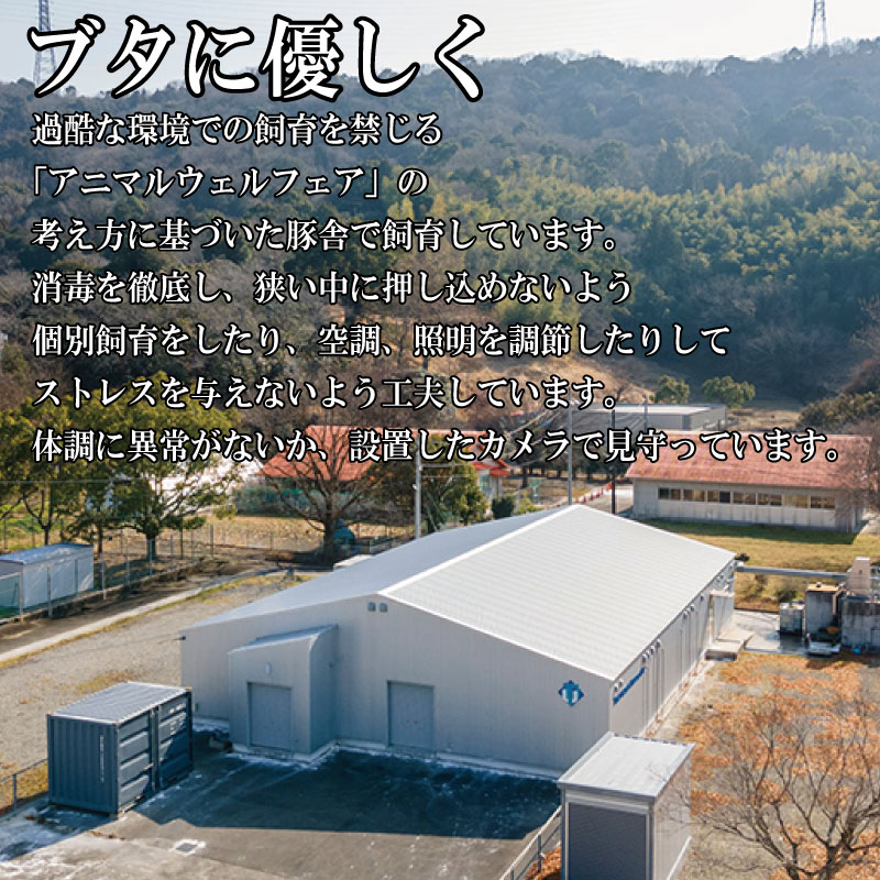 徳島大学 ハム ベーコン 計900g 熟成 ロースハム ベーコン 豚肉 豚 ぶた ブタ 加工品 お中元 お歳暮 年末 徳島大学 徳島県