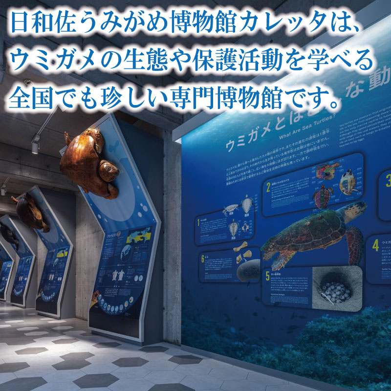 譌・蜥御ス舌≧縺ソ縺後a蜊夂黄鬢ィ繧ォ繝ャ繝繧ソ 蜈・鬢ィ蛻ク 螟ァ莠コ2蜷榊 縺縺ソ縺後a 繧ヲ繝溘ぎ繝。 豬キ莠 縺九a 繧ォ繝。 莠 蜊夂黄鬢ィ 繝√こ繝繝 鄒取ウ「逕コ 蠕ウ蟲カ逵 繝峨Μ繝シ繝繝√シ繝