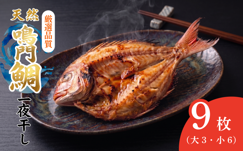 干物 9枚 魚 干物 干し物 セット 干物セット 鯛 鳴門鯛 天然 天然鯛 一夜干し 冷凍 海鮮 おつまみ 鳴門 徳島 ギフト 晩ごはん 贈り物 ふるさと納税 送料無料 魚介 魚貝 開き 人気