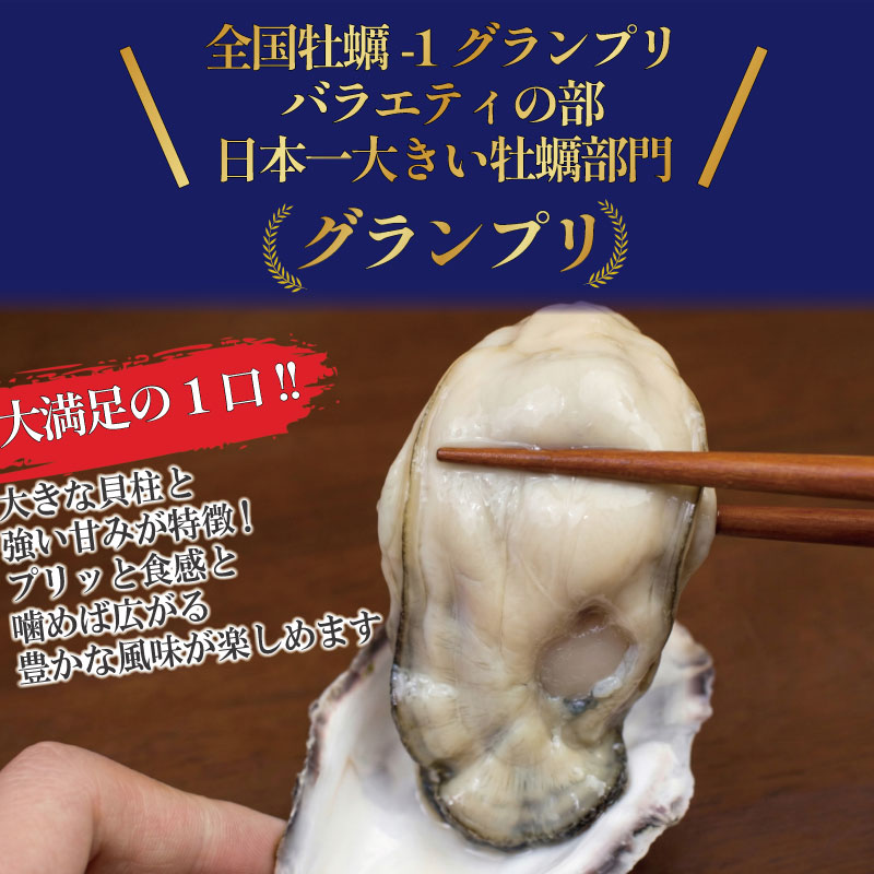 【2026年9月~2026年12月まで発送】牡蠣 生牡蠣 殻付き 12個 生食可 冷蔵 (ナイフ付き) 渦潮チャンピオン 真牡蠣 かき カキ ブランド 旬 新鮮 海鮮 濃厚 料理 鍋 牡蠣鍋 カキフライ バーベキュー BBQ キャンプ おいしい TV テレビ 徳島県 鳴門