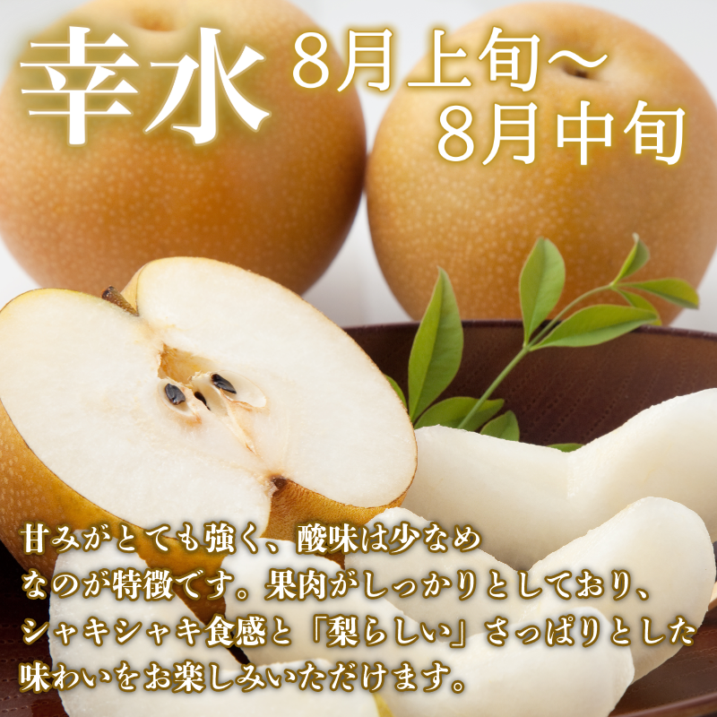 ã8æäžæ¬ãã9æäžæ¬ãŸã§çºéã æ¢š 5kg è±æ°Ž 幞氎 容é éžã¹ã ãã«ãŒã æç© ãªã é£ã¹æ¯ã¹ æ¬ åœç£ å³éž 埳島ç