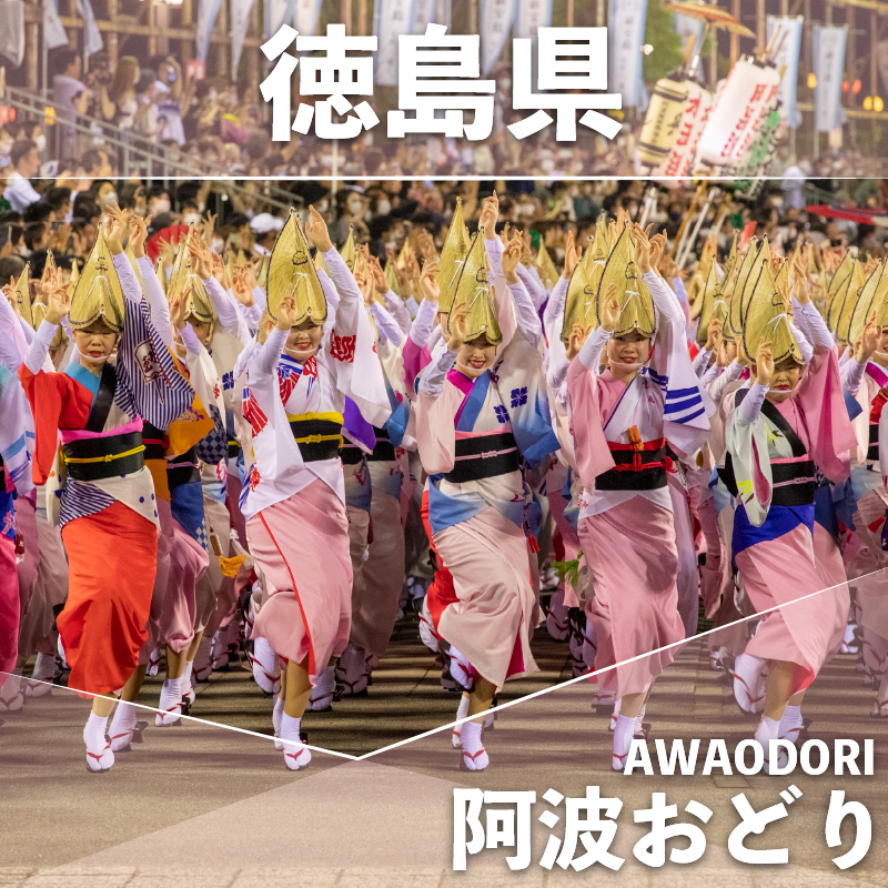 ヒレ ステーキ 3枚 セット 約 480g 冷凍 黒毛和牛 国産牛 阿波牛 希少 部位 牛肉 ヒレ肉 ステーキ フィレ ヘレ やわらか お取り寄せ グルメ