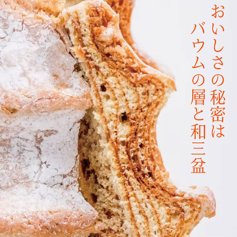 バウムクーヘン 1個 波乗りバウム BIGWAVE サンライズ バームクーヘン ばうむくーへん バウムクーヘン ばーむくーへん スイーツ 洋菓子 お菓子 ギフト 贈答用 プレゼント 箱詰め 箱入り 発酵 バター コーヒー 紅茶 徳島県 ドリームチーム