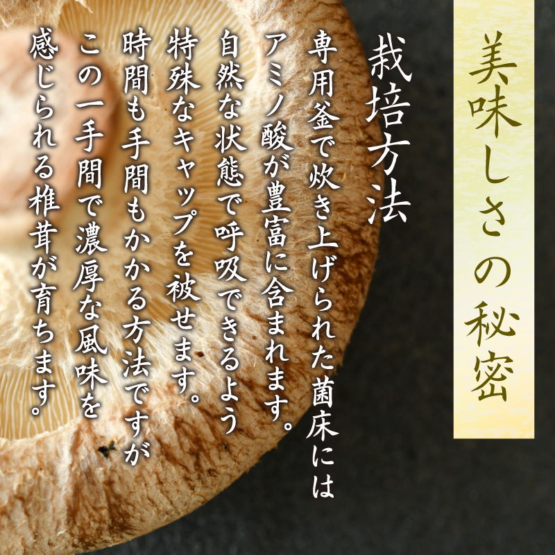 しいたけ 菌床生しいたけ 1kg きのこ 肉厚 生 椎茸 濃厚 家庭用 おかず 野菜 料理 調理 健康食品 健康 冷蔵 国産 徳島