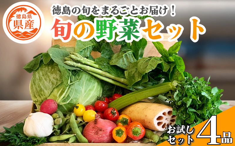 野菜 セット お試し 4品 単品 季節 旬 野菜 詰め合せ 国産 季節 旬 おまかせ 産地直送 春野菜 夏野菜 秋野菜 葉物 果物 果菜 根菜 冷蔵 野菜室 ダイエット 食 栄養食 加工品 カット野菜