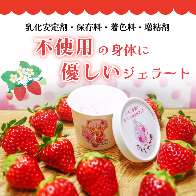 いちご ジェラート 食べ比べセット 8個 4種 いちご 苺 フルーツ 紅ほっぺ あまえくぼ 果物 旬 ジェラート アイス 夏 ギフト 夏ギフト プチギフト 国産 食べ比べ セット 冷たい 贈り物 冷凍 おやつ